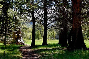 Washoe Meadows State Park